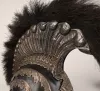 French Garde du Corps du Roi Model 1814 Helmet Visuel 12